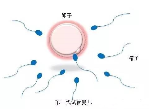 关于北京助孕包成功服务